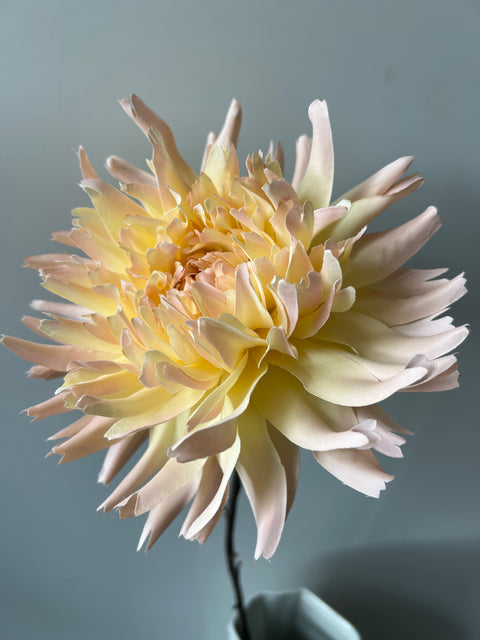 Chrysant  MUM peach  80 cm