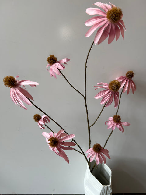 Echinacea spray oud roze 123 cm