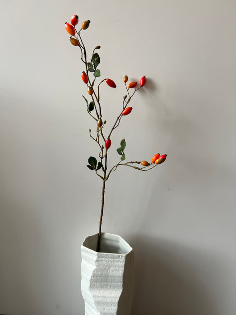 Rozenbottel tak 78 cm    oranje/geel bottels