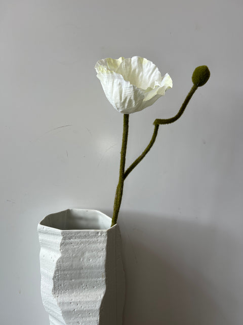 Papaver  60 cm crème
