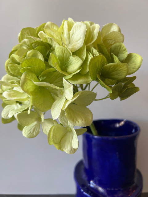 Hortensia steel groen  48 cm