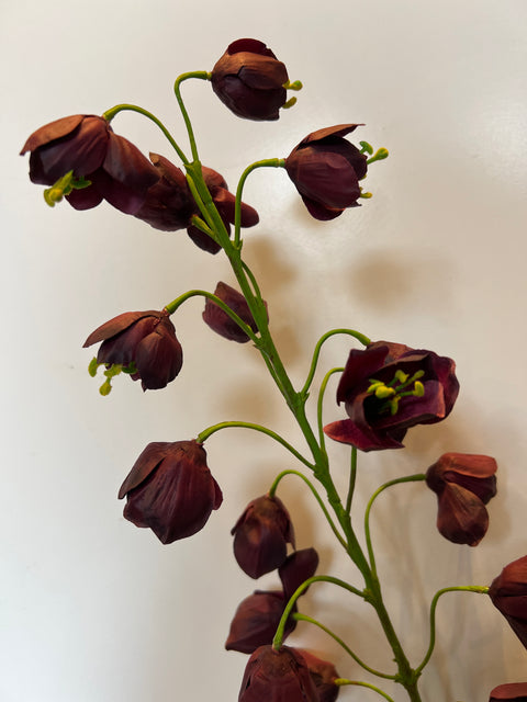Fritillaria steel bordeaux 111 cm