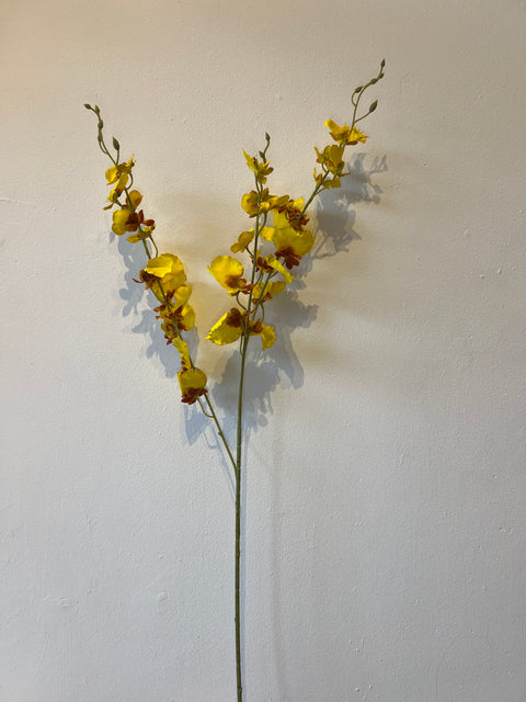 Orchidee x3 geel  78 cm