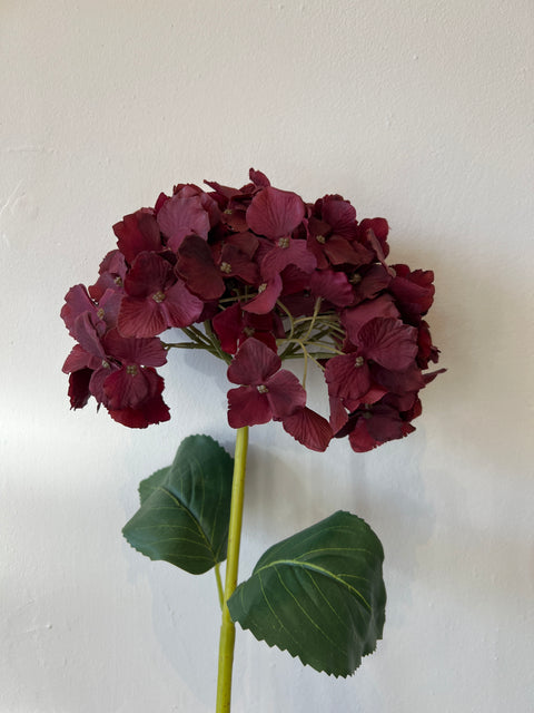 Hortensia bol donker rood 80 cm