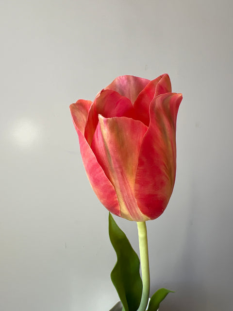 Tulp steel rood/roze/geel 72 cm
