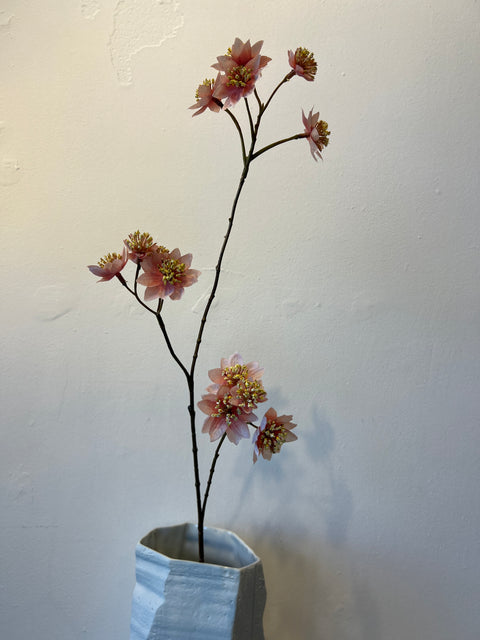 Zeeuws knoopje roze 72 cm