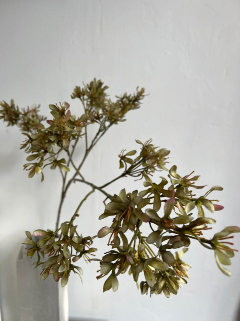Krententak mini   groen   113 cm