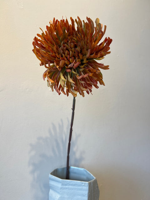 Chrysant  oranje  72 cm