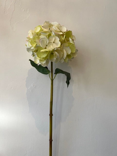 Hortensia bol wit/creme 85 cm