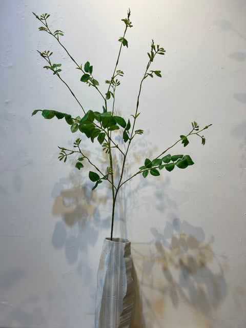 Rozen tak blad groen 140 cm