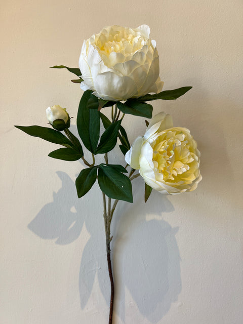 Pioenroos tak x3 wit 72 cm