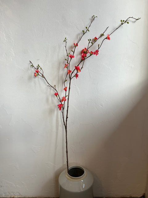 Chaenomeles tak 142 cm zalm