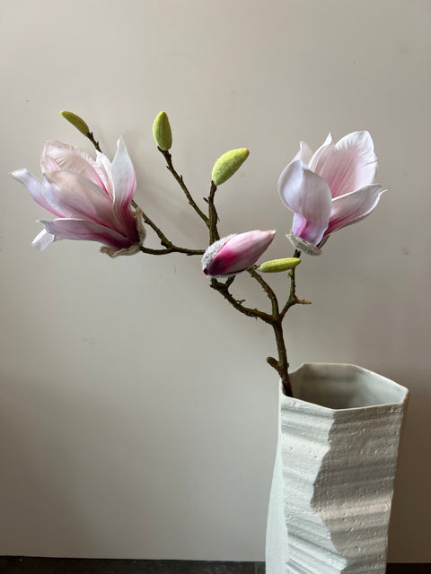 Magnolia tak  roze  107 cm