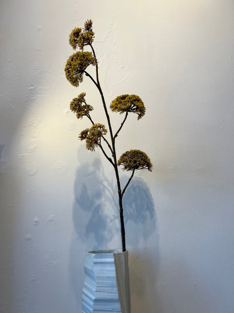 Engelwortel tak groot beige  102 cm