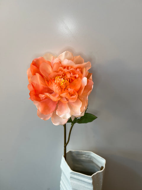 Pioenroos peach 56 cm