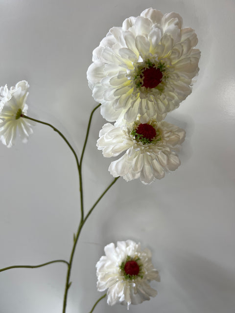 Zinnia spray x5 wit 105 cm