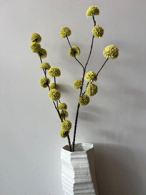 Plataan spray groen 100 cm