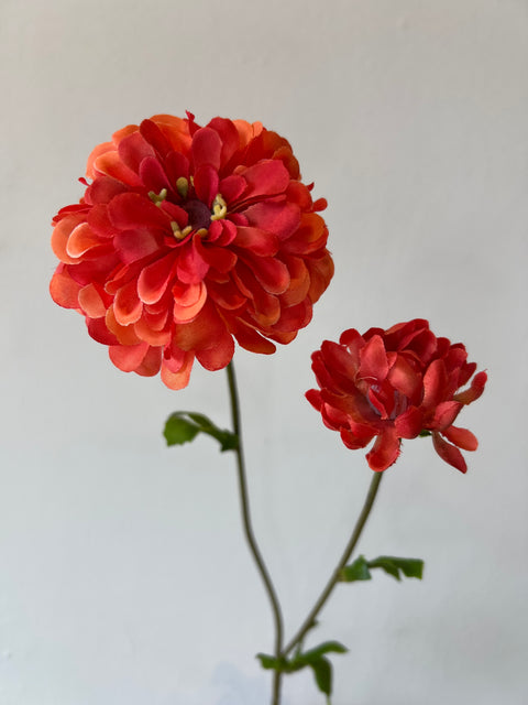 Zinnia bloem + knop rood 63 cm
