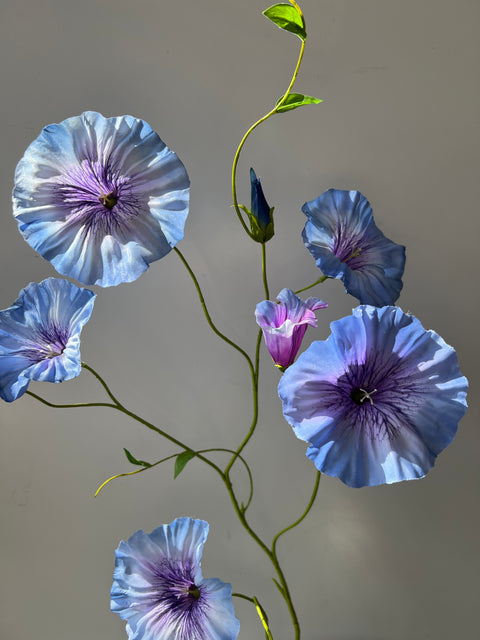 Morning glory spray blauw 90 cm
