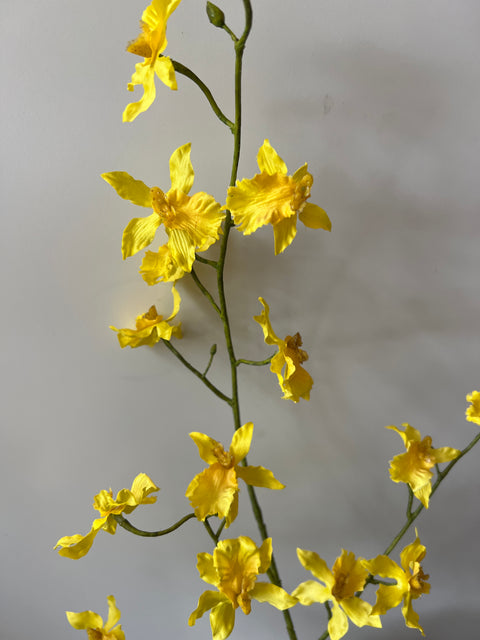 Orchidee steel geel 100 cm